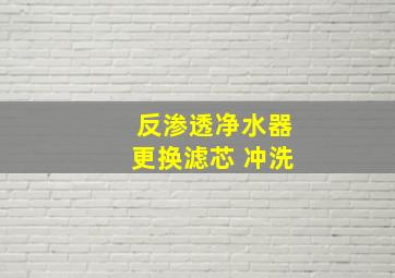 反渗透净水器更换滤芯 冲洗